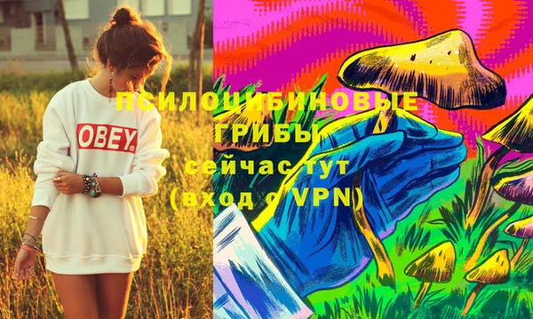 мефедрон Дмитриев